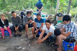 Bắt quả tang hàng chục đối tượng say sưa sát phạt trong vườn quýt
