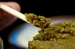 Một lệnh trừng phạt 'vô nghĩa' của EU nhằm vào Nga