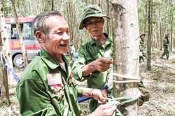 Quảng Trị cùng cả nước, với cả nước