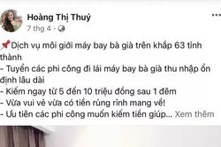 Ham 'lái máy bay bà già' với mức thu nhập cao, nhiều 'phi công trẻ' sập bẫy