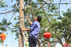 Gấp rút chuẩn bị cho sự kiện 'Tuần văn hóa thành phố Thanh Hóa- thành phố Hội An'