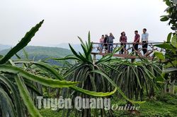 Khảo sát phát triển du lịch tại Hàm Yên