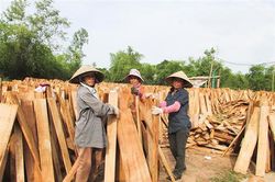 Triệu Phong đẩy mạnh phát triển công nghiệp - tiểu thủ công nghiệp