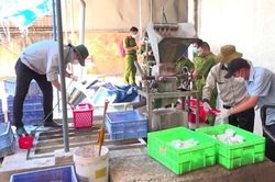 Hơn 42 tấn chất thải nguy hại chưa qua xử lý trong xí nghiệp đèn ống