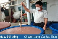 Mắm Bạch Câu và hành trình đưa 2 sản phẩm đạt OCOP 3 sao