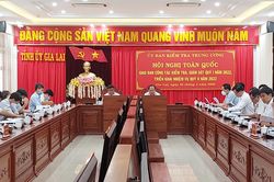 Triển khai công tác kiểm tra, giám sát, thi hành kỷ luật Đảng quý II