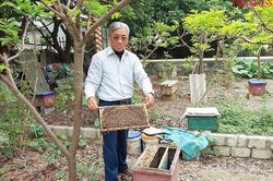 Ngọt ngào những mùa mật tại HTX An Sơn