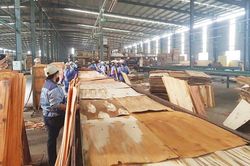 Hoa Kỳ chưa kết luận vụ điều tra chống lẩn tránh thuế với gỗ dán cứng Việt Nam