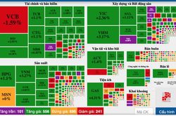 Chứng khoán sẽ quay trở lại giá trị, nhà đầu tư nên chọn những cổ phiếu cơ bản tốt