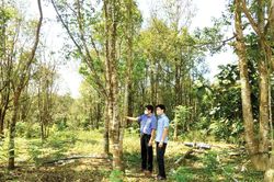 Kinh tế Nông nghiệp - Nông thôn Giúp nông dân làm giàu
