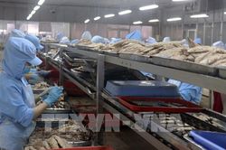 Cảnh báo sớm - lá chắn giúp doanh nghiệp giảm thiểu rủi ro