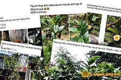 Cảnh giác với chiêu trò thổi giá hoa bạch hải đườngTin khácLễ hội Kỳ Hoa: Dư âm vọng mãi47 năm sau Ngày giải phóng miền Nam, thống nhất đất nước