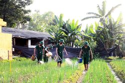 'Thực túc – binh cường'Tin khácLễ hội Kỳ Hoa: Dư âm vọng mãi47 năm sau Ngày giải phóng miền Nam, thống nhất đất nước