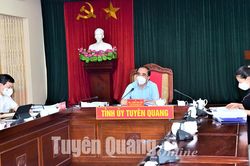 Thường trực Tỉnh ủy cho ý kiến một số chủ trương quan trọng