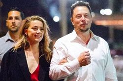 Elon Musk không đến tòa làm chứng cho Amber Heard