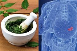 Người phụ nữ vỡ loét đầu ngực vì đắp thuốc nam chữa ung thư vú