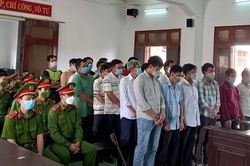 Tuyên án 34 bị cáo trong vụ phá rừng lớn nhất ở Phú Yên