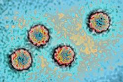 Thủ phạm gây ra căn bệnh viêm gan bí ẩn ở trẻ em có thể do adenovirus