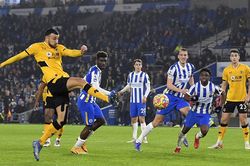 Soi kèo nhà cái Wolves vs Brighton. Nhận định, dự đoán bóng đá Ngoại hạng Anh (21h00, 30/4)