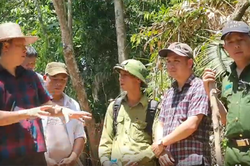 Làm rõ sụt giảm 2.850ha rừng tự nhiên tại Quảng Nam