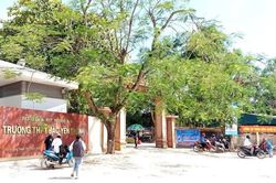 Thầy giáo tát học sinh rách màng nhĩ bị đình chỉ công tác