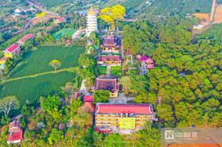 Lâm Đồng: Tạm dừng tiếp nhận hồ sơ thuê môi trường rừng để kinh doanh du lịch