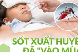 'Rơi đúng' chu kỳ sốt xuất huyết, phân biệt với sốt do COVID ở trẻ thế nào?
