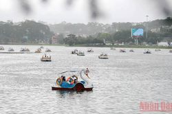Trải nghiệm thành phố mưa bay