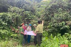Bảo vệ rừng đặc dụng vùng giáp ranh trên địa bàn huyện Thạch Thành