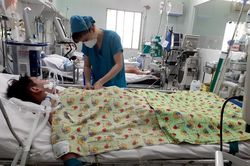 Dịch COVID-19 mới tạm lắng, dịch sốt xuất huyết đã có nguy cơ bùng phát