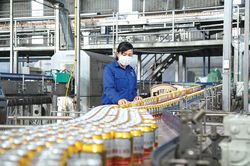 Tăng thu ngân sách từ công nghiệp sản xuất bia