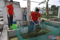 Đi ăn gọi món bị 'hết hàng', bực mình bỏ về quê thành tỷ phú ốc nhồi