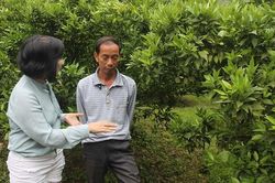 Mảnh vườn trên đỉnh núi mỗi năm lãi 5 tỷ, bí quyết độc lạ của lão nông Pa Cốp