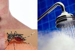 Người sốt xuất huyết tắm gội được không?