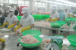 Tiền Giang: Sản xuất công nghiệp, xuất khẩu khởi sắc