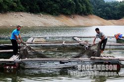 Liên kết sản xuất: Hướng đi mới của các hợp tác xã thủy sản tại Bắc SơnTin khácLễ hội Kỳ Hoa: Dư âm vọng mãi47 năm sau Ngày giải phóng miền Nam, thống nhất đất nước