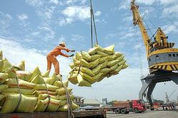 Gia tăng xuất khẩu gạo thơm, gạo đặc sản sang thị trường ASEAN