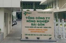 Sắp xét xử phúc thẩm vụ án SAGRI theo kháng nghị và đơn kháng cáo