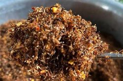 Loại muối đặc biệt từ những con kiến vàng tại Gia Lai