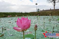 Chương trình nghệ thuật 'Người Mẹ Làng Sen' trước ngày sinh nhật Bác