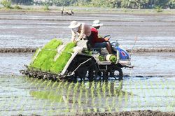 Nghị quyết soi đường, kỳ vọng châu thổ Cửu Long 'cất cánh'