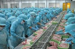 Xuất khẩu cá tra tăng vọt, ngành thủy sản tiếp tục bội thu