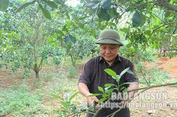 Cựu thanh niên xung phong năng động phát triển kinh tếTin khácLễ hội Kỳ Hoa: Dư âm vọng mãi47 năm sau Ngày giải phóng miền Nam, thống nhất đất nước