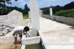 Khó khăn trong giải thể các hợp tác xã ngừng hoạt độngTin khácLễ hội Kỳ Hoa: Dư âm vọng mãi47 năm sau Ngày giải phóng miền Nam, thống nhất đất nước