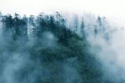 Những 'tử địa' bí ẩn ở Trung Quốc khiến nhiều người một đi không trở lại