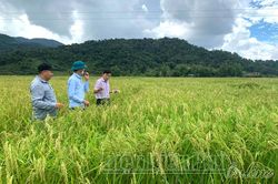 Phát triển sản phẩm OCOP theo hướng bền vững