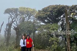 Chiêm ngưỡng vẻ đẹp 'đệ nhất hoa' của núi rừng Ky Quan San