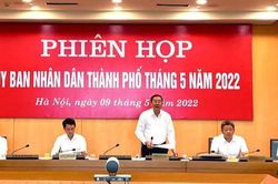 Hà Nội xem xét sửa đổi, bố sung quy định về đấu giá quyền sử dụng đất
