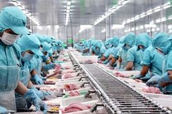 Xuất khẩu thủy sản được dự báo tăng vọt trong quý II