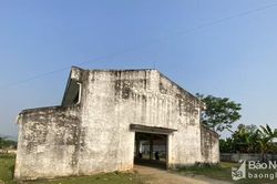 Chợ tiền tỷ thành nơi chơi bóng, thả rông trâu, bò